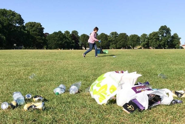 Abi Park Pickers