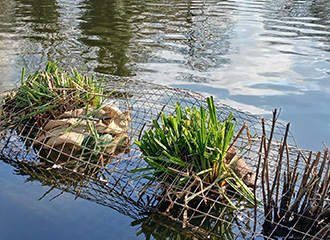 Abington Park Lake