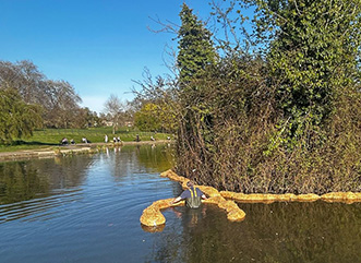 Abington Park - Barley Straw Treatment around islands
