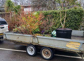 Plants and shrubs from the former Workbridge garden being transferred to Abington Park.