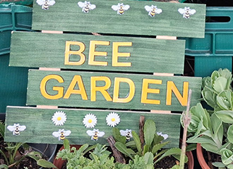 Abington Park - Plants for the Bee Garden