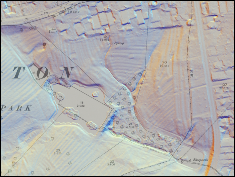 Abington Park LIDAR image