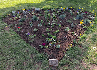 Abington Park peace garden 2026