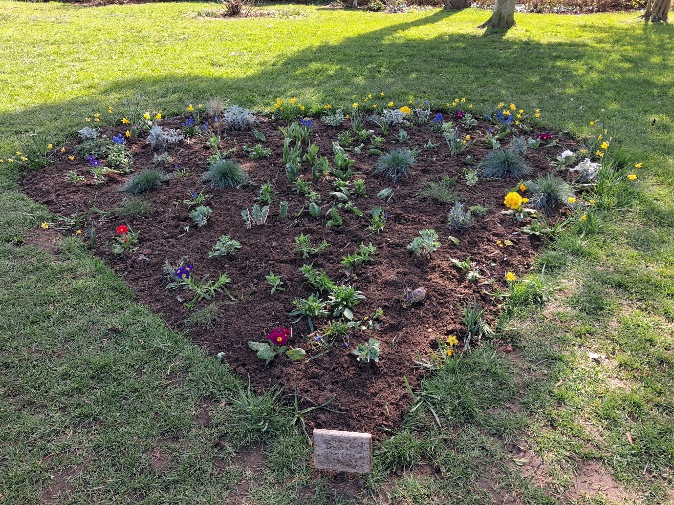 Abington Park peace garden 2026