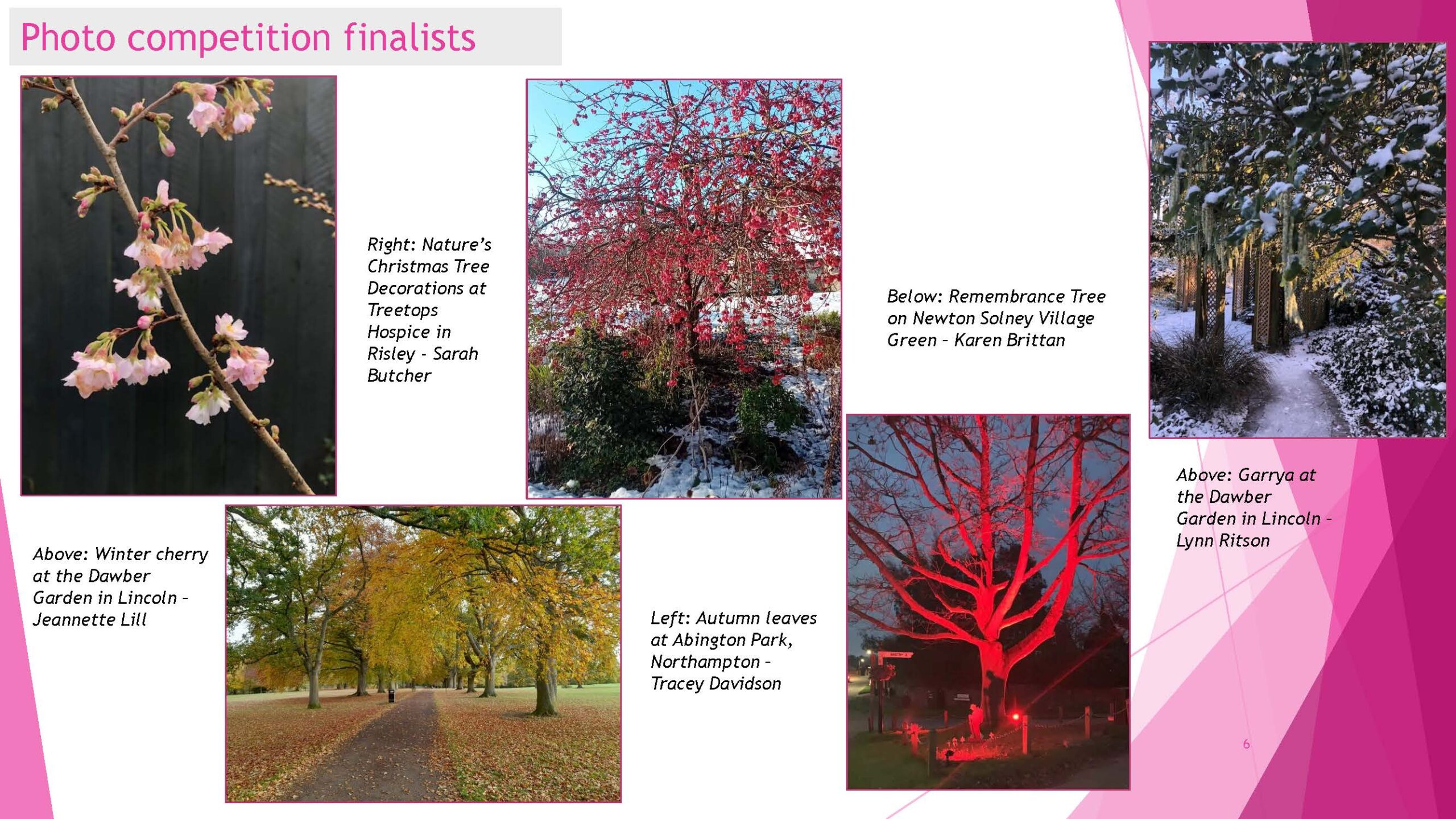 East Midlands in Bloom