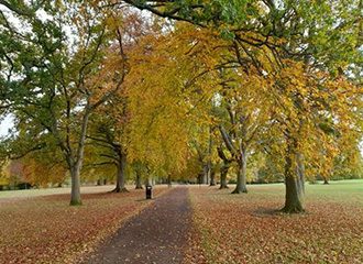 Abington Park