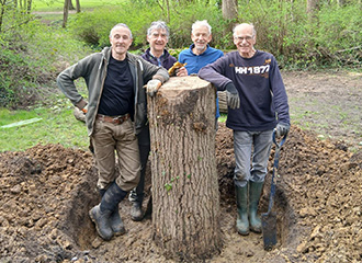 Abington Park stumpery