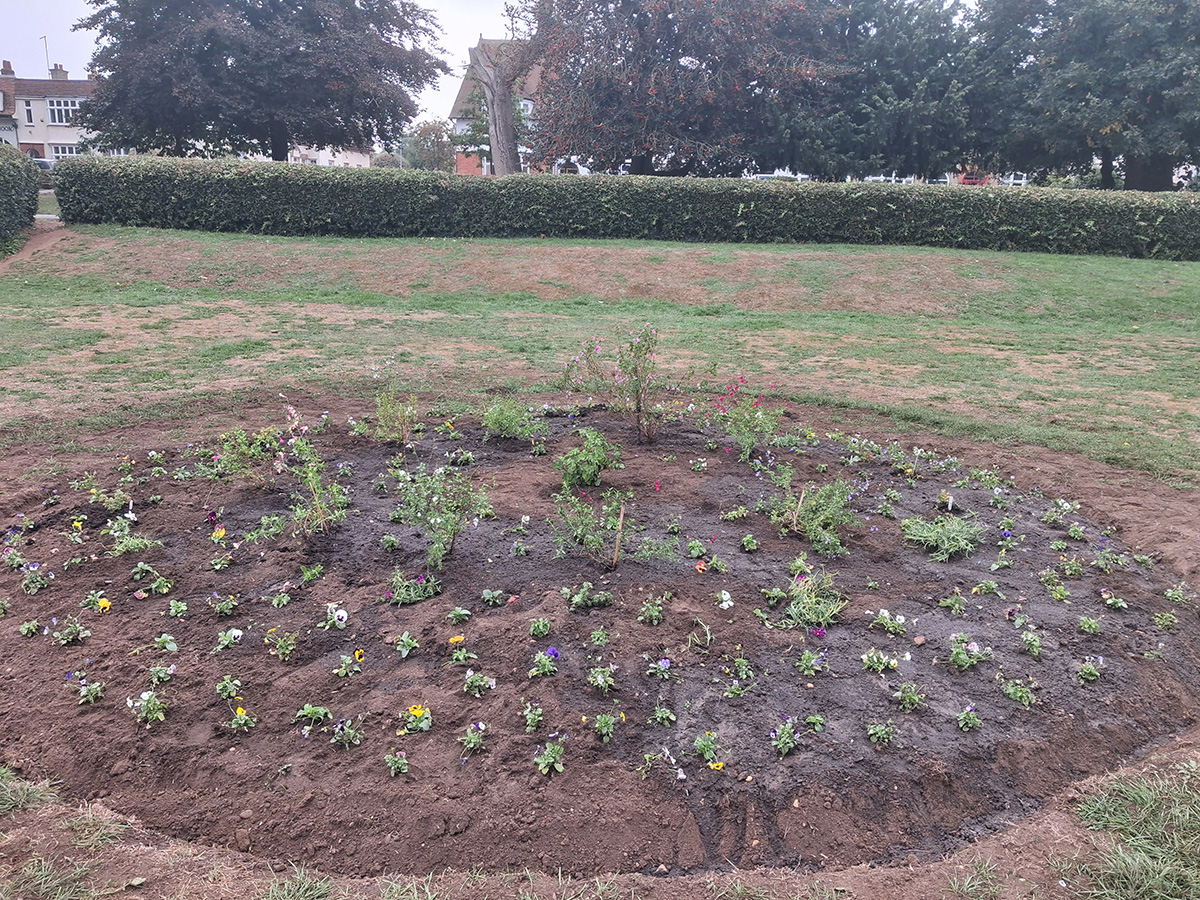 Abington Park round bed newly planted